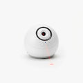Interactive Cat Laser Toy
